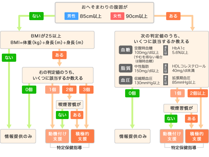 図：特定保健指導の階層化基準